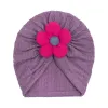 Taro Purple