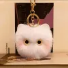 White Cat-Round