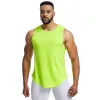 Fluorescent Green Star Dot Net