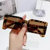 Hawksbill Framed Tea