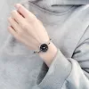 Silver Shell Roman Black Face