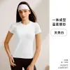 Shell White Beike White