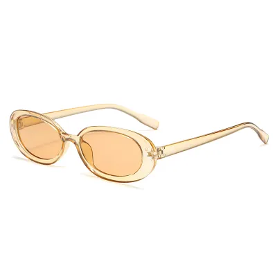 Retro Oval Small Frame PC AC Sunglasses