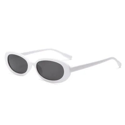 Retro Oval Small Frame PC AC Sunglasses