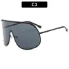 C1-Black Frame Gray