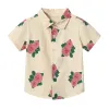 Boy'S Shirt 10