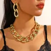 N2403-31T2 Shaped Acrylic Necklace Earrings Set
