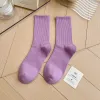 Taro Purple