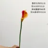Calla Lily [Orange]]