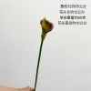 Calla Lily [Brown]]