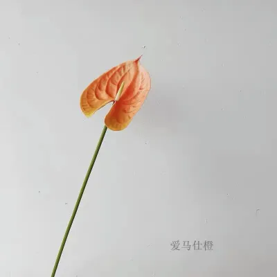 Simulation PU Feel Flakery Palm Decoration for Wedding Party Photography Props