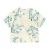 01 Ship Anchor Gray Apricot