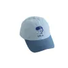 Lt.Blue Whales