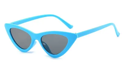 Retro Triangle Cat Eye Sunglasses PC Frame