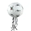 White Spider With Whiskers