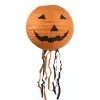 Bearded Orange Pumpkin