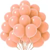 10 Inch Retro Peach Color