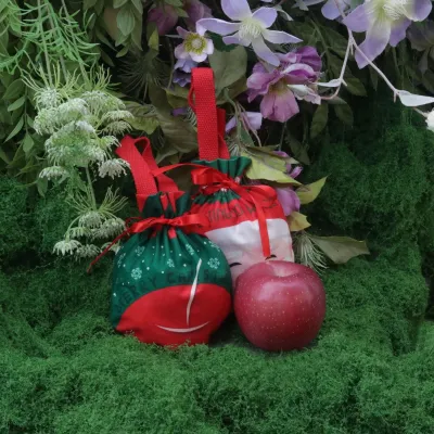 Christmas Apple Cloth Gift Bag