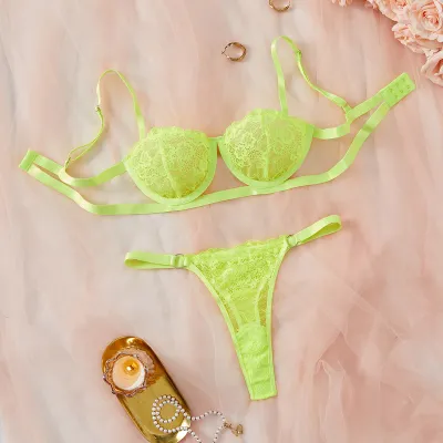 Women Sexy Lace Embroidered Mesh Perspective Bra and Panties Set