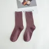 Taro Purple