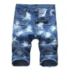 1761 Flower Blue