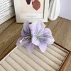 Dream Purple Duck Clip