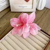 Pink Duck Clip