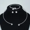 XL-2146 Silver Set Zircon
