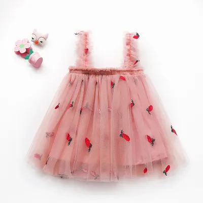 Summer Girls Embroidered Mesh Princess Tutu Dress