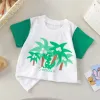 IQ15-Great Coconut Dragon