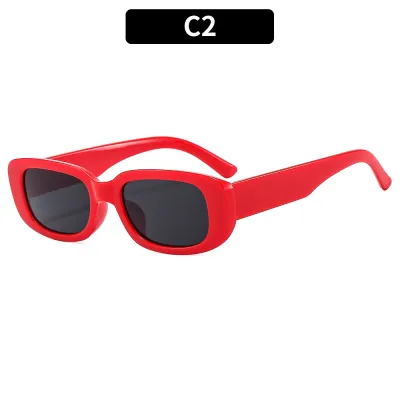 Fashionable Small Frame Square Sunglasses for Women