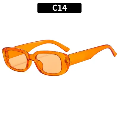 Fashionable Small Frame Square Sunglasses for Women