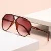 Hawksbill Frame Reddish