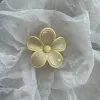 White Flower Yellow Edge