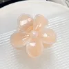 Jelly-Orange White Edge