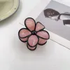 Jelly-Pink Black Edge