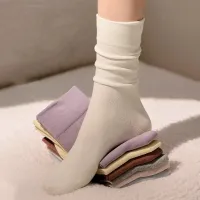 Women Fashion Transparent Mesh Dot Stacked Socks