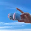 Baby Elephant