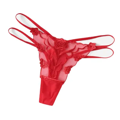 Women Sexy Embroidered Mesh Thong Panties