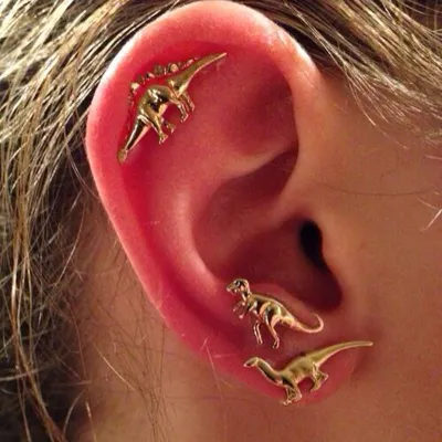 Creative Dinosaur Design Stud Earrings Set for Women