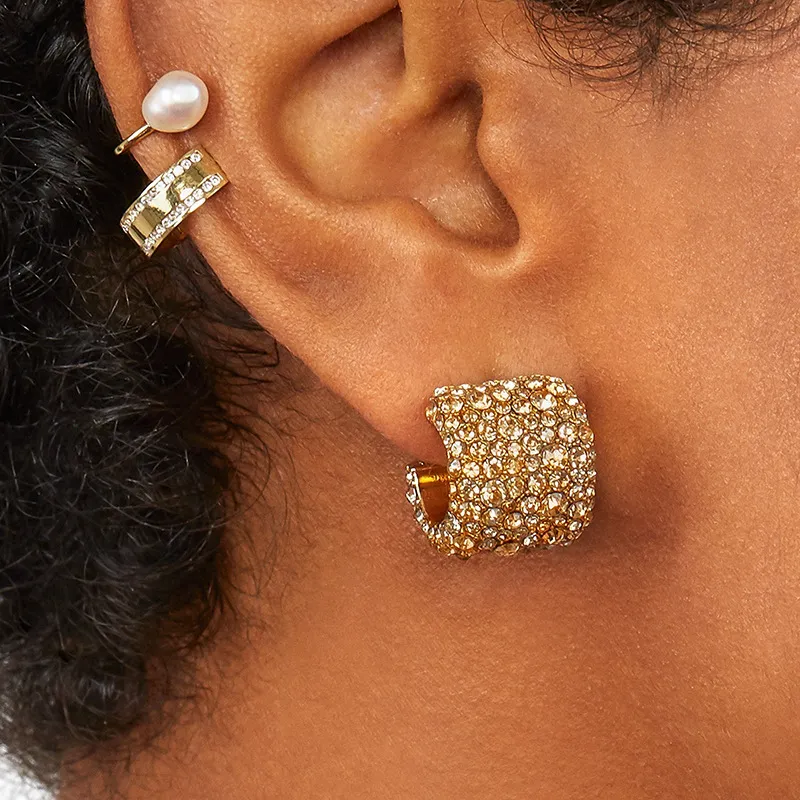 Shiny Rhinestone Of Varying Sizes Decor Stud Earrings For Women