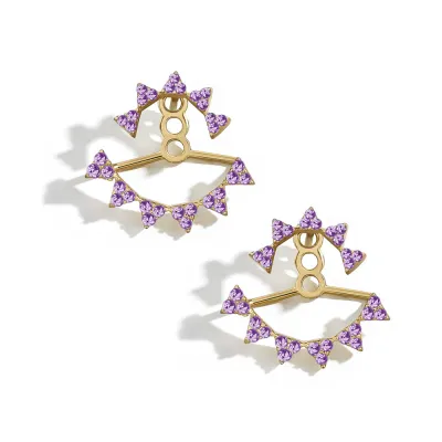 Triangle Shape Back Hanging Zircon Decor Acrylic Stud Earrings