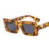 C2 Leopard-Grey