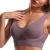 Cameo Purple