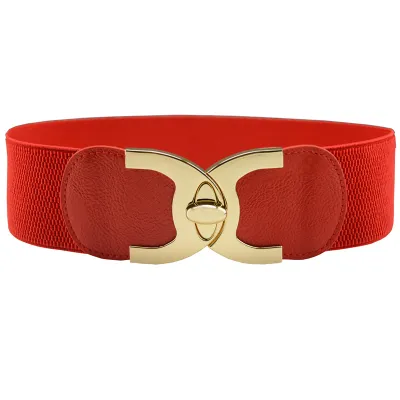 Women's Elastic Belt with Alloy Buckle Decoration - Wide Girdle Belt 60*6cm