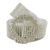 Sun Buckle-Silver
