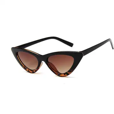 Vintage Triangle Cat-eye Transparent Frame Sunglasses