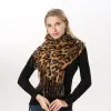 Leopard 13