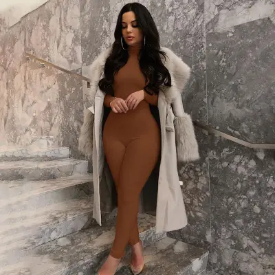 Women Basic Solid Color Long Sleeve Turtle Neck Jumpsuits