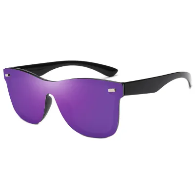 Retro Mirror Shades Unisex Polycarbonate Sunglasses